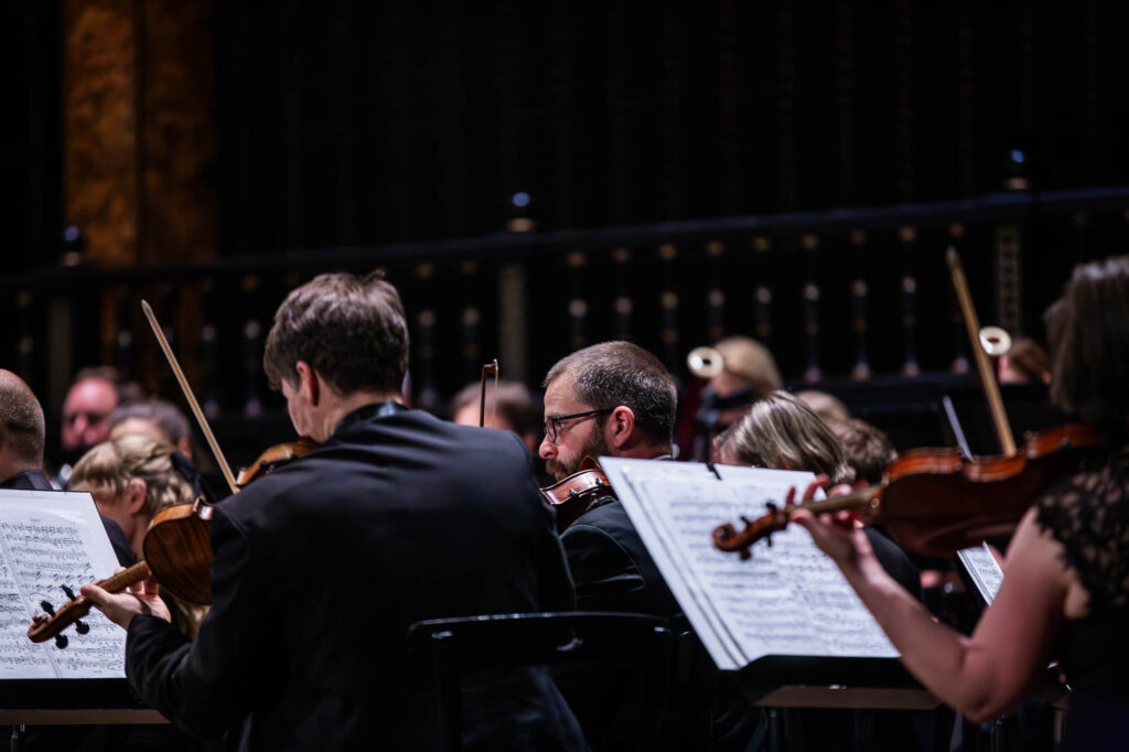 IMG_3203-Enhanced-NR